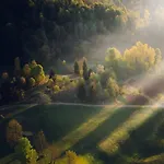 Stanza Nella Piana Di Campo Di Bonis - Friland Taipana