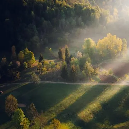 Stanza Nella Piana Di Campo Di Bonis - Friland Taipana